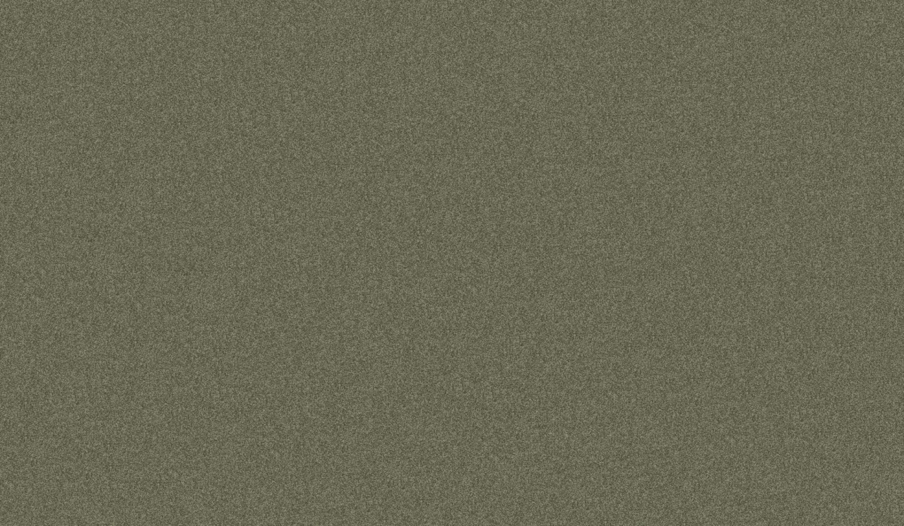 8l61