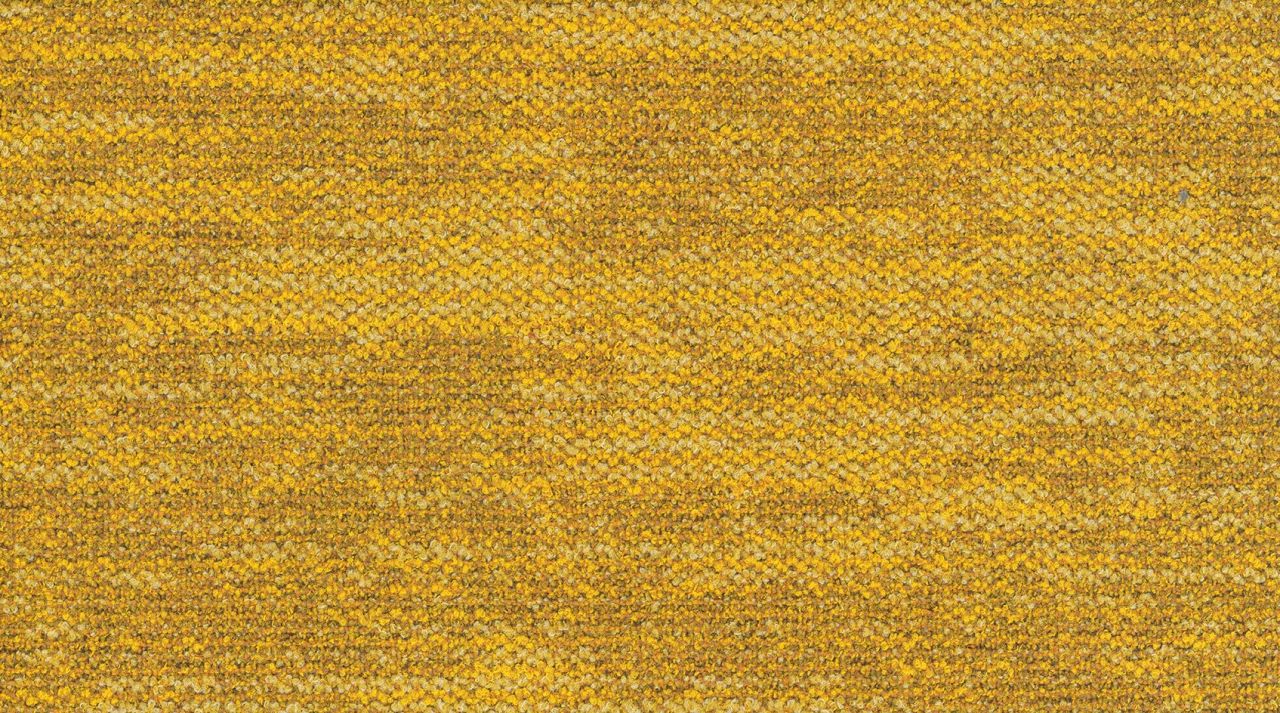 Moorea Teppichfliese Makani 250 x 1000 mm