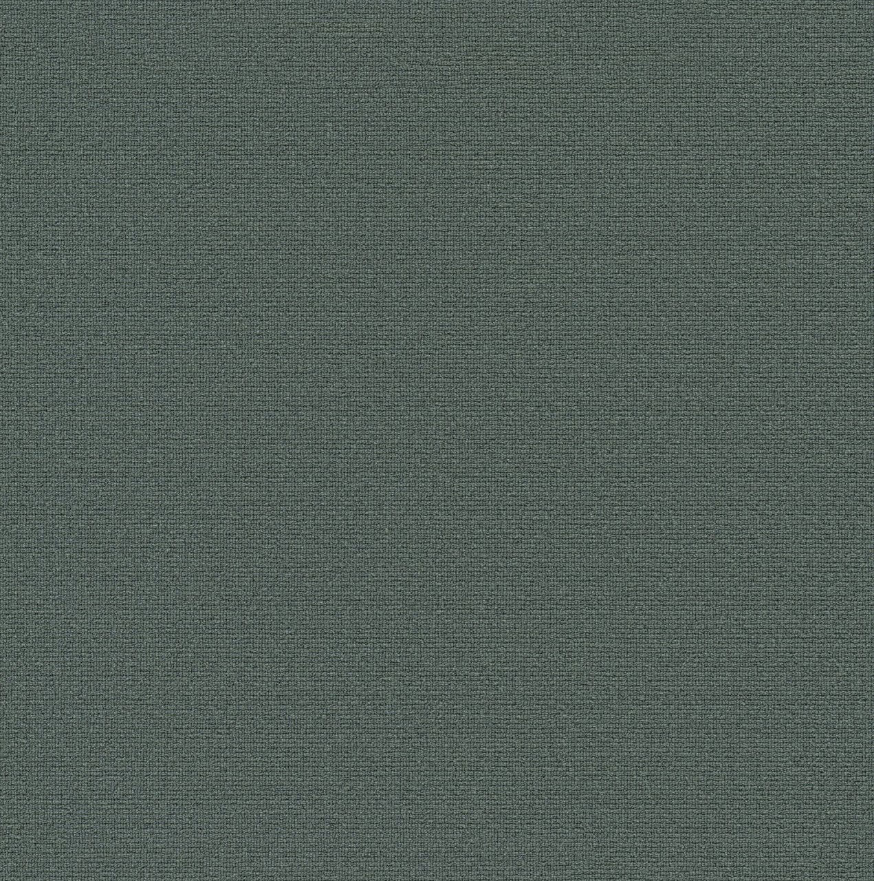 50b3