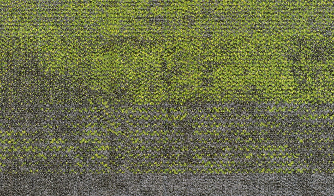 Moorea Teppichfliese Malia 333 x 1000 mm