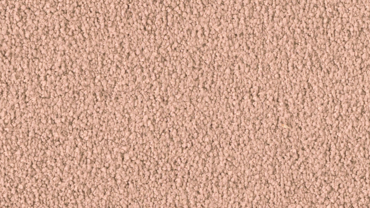 1Q06
