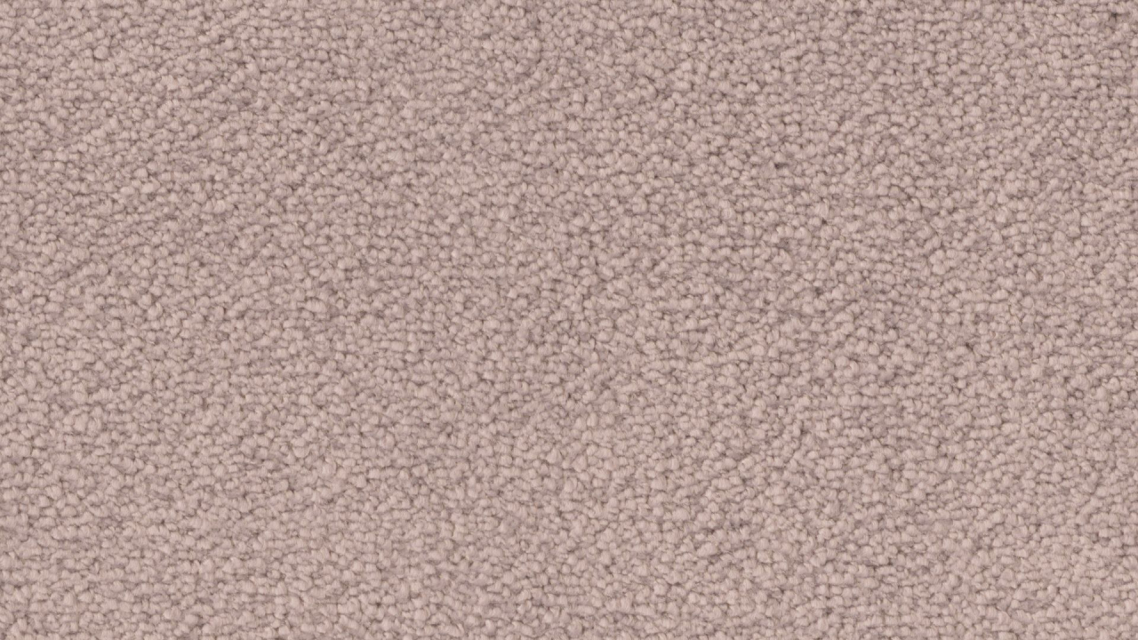 1P97