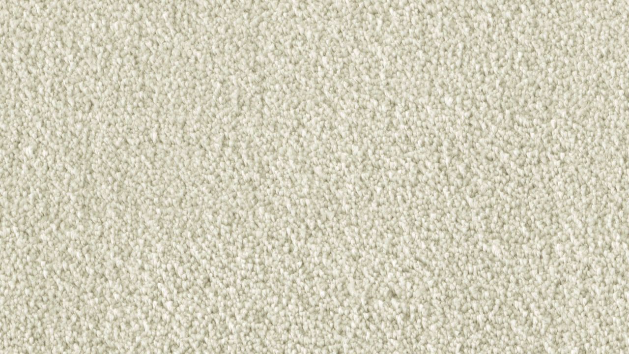 6D04