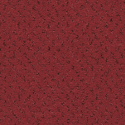 1N81
